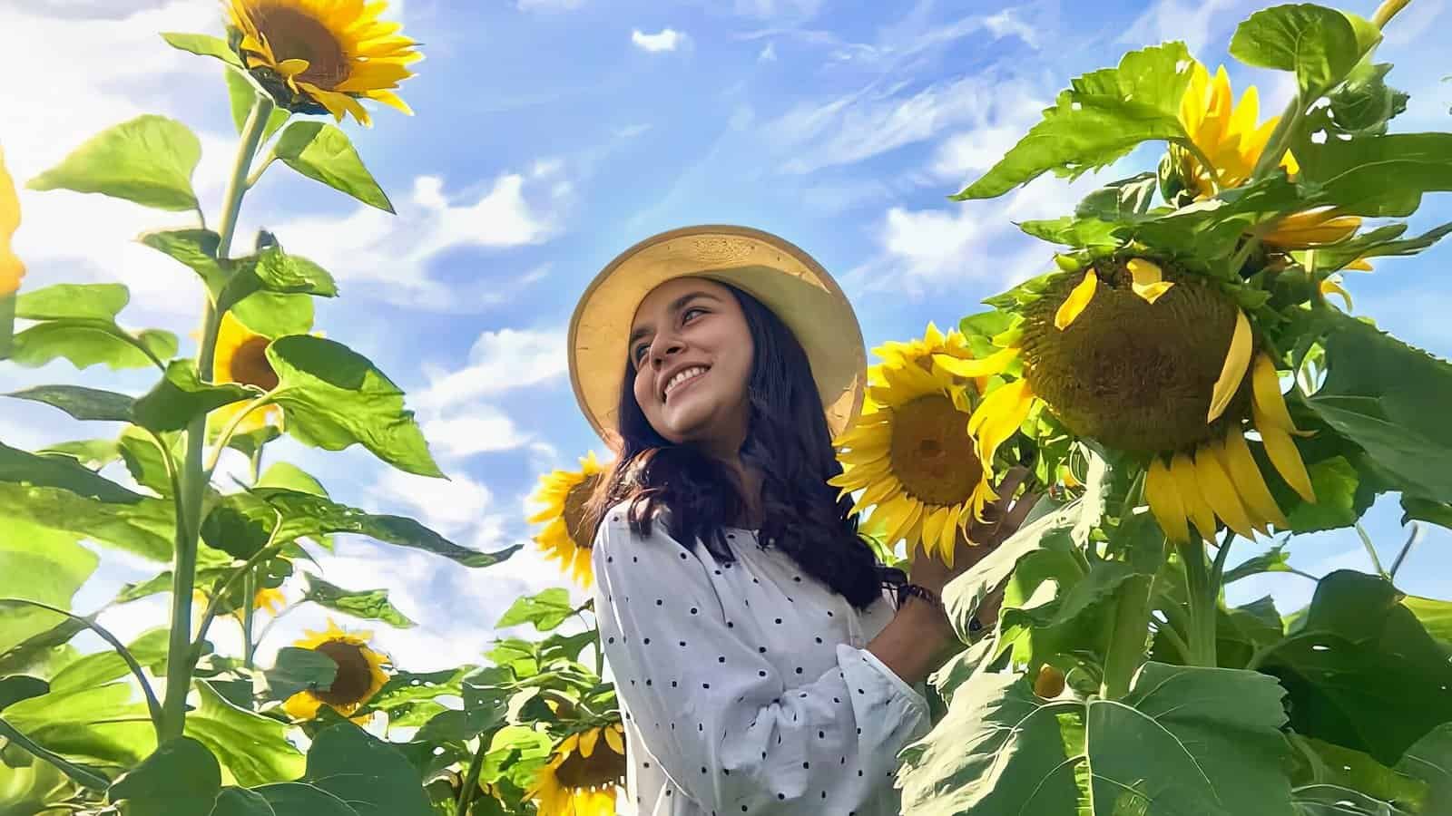 Lady enjoying the beauty of the Sunflower Fields of Copan